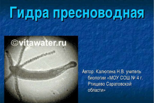 Почему не работает кракен