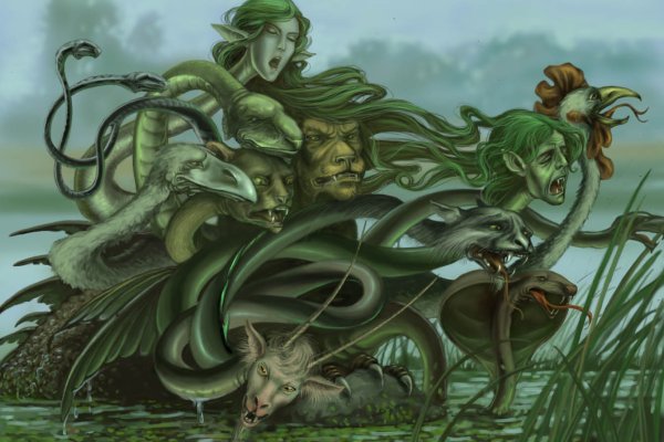 Kraken 13at