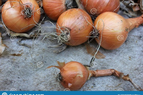 Кракен зеркало onion