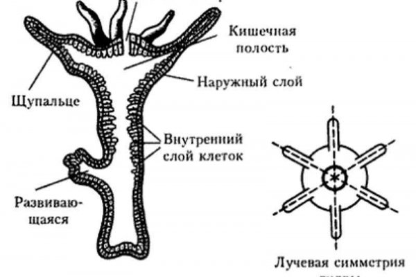 Ссылки для tor