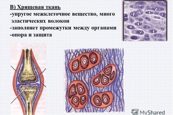 Что будет если зайти в кракен