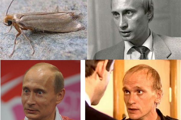 Кракен сайт что это