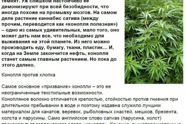 Gidra магазин